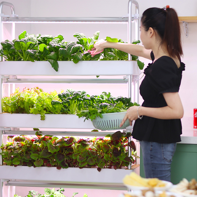 スマート室内庭園 水耕栽培システム LEDライト付き 垂直積 - Smart Garden Stackable Planters のレビューと価格