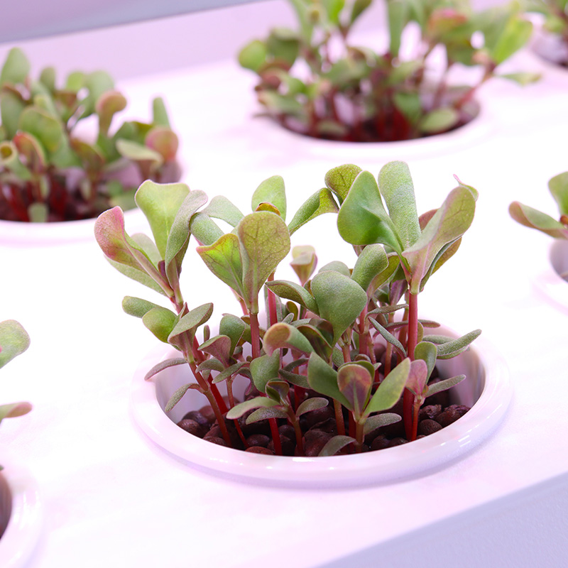 スマート室内庭園 水耕栽培システム LEDライト付き 垂直積 - Smart Garden Stackable Planters のレビューと価格