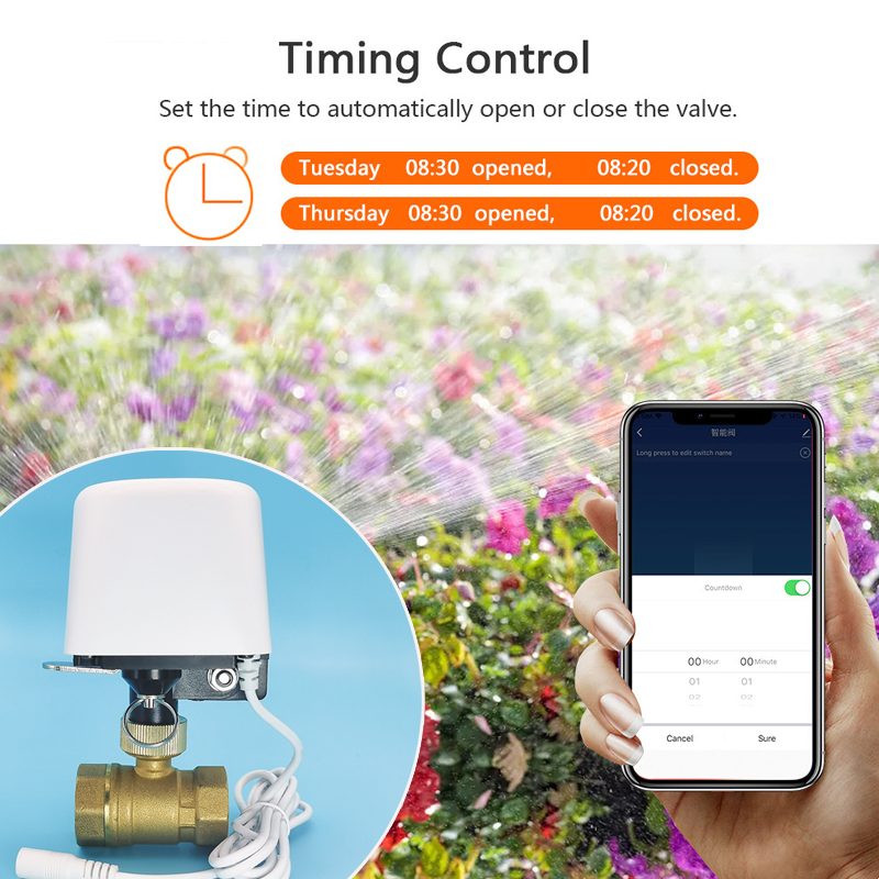 1/2インチ 3/4インチ 1インチ DN32 Tuya Z - Smart Garden Lock のレビューと価格