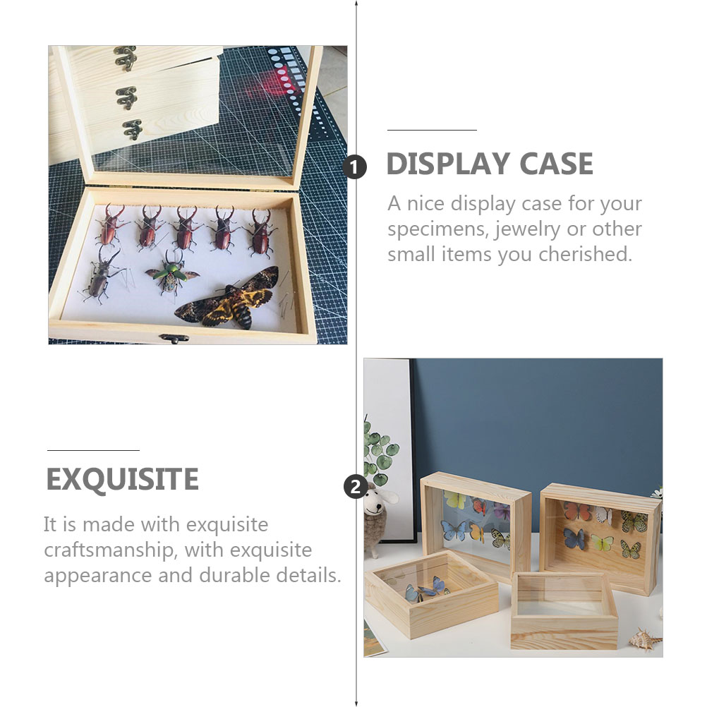 ヴィンテージ昆虫展示ケース 木製蝶標本展示ボックス 標本コレ - Insect Hotel Wood のレビューと価格