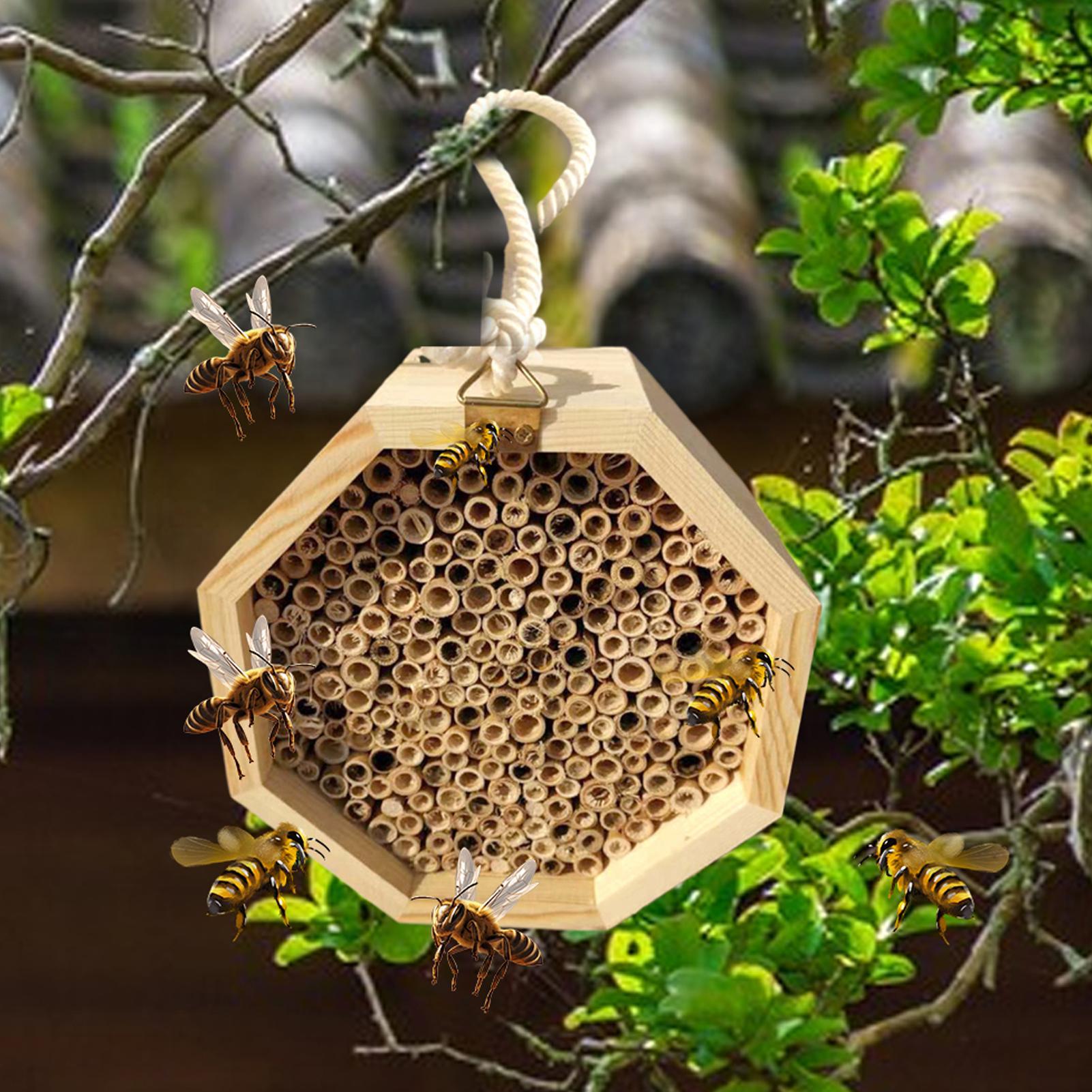 木製昆虫蜂の巣箱、木製虫小屋ホテル、屋外庭園装飾用の巣箱、爬 - Insect Hotel Wood のレビューと価格