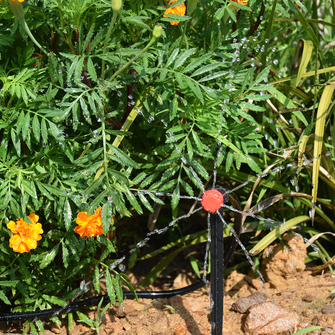 KESLA 5-50M スマートガーデン自動散水システムキッ - Smart Garden At Home のレビューと価格