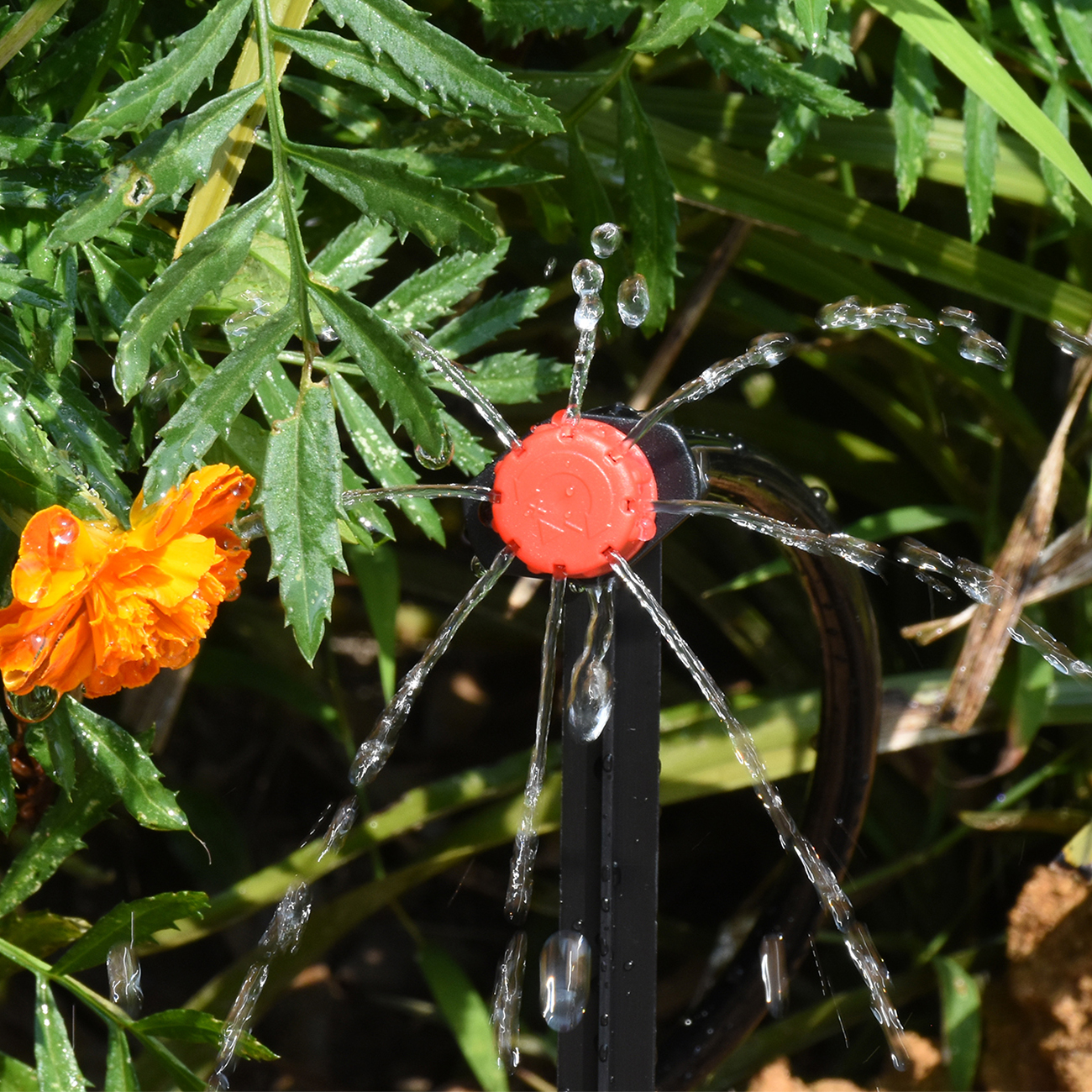 KESLA 5-50M スマートガーデン自動散水システムキッ - Smart Garden At Home のレビューと価格
